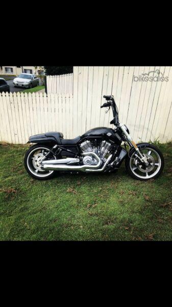 Harley Davidson V Rod muscle