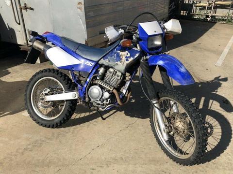2001 Yamaha TT250R