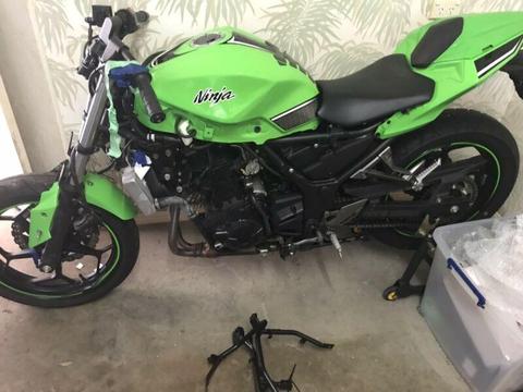 Kawasaki ninja 300 2014 se