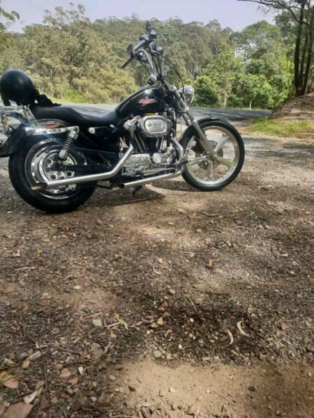 96 Harley Davidson sportster