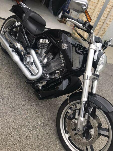 2013 Harley Davidson V-Rod Muscle