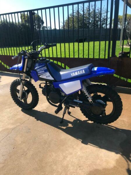2018 Pw 50 in new condition