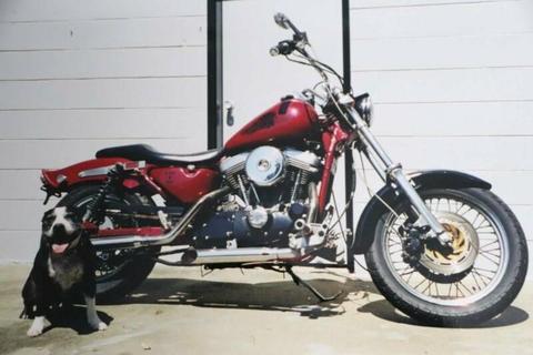 Looking for this bike, 1100cc Harley Sportster