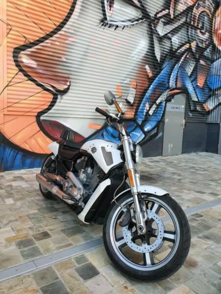 Harley Davidson VROD MUSCLE 2013