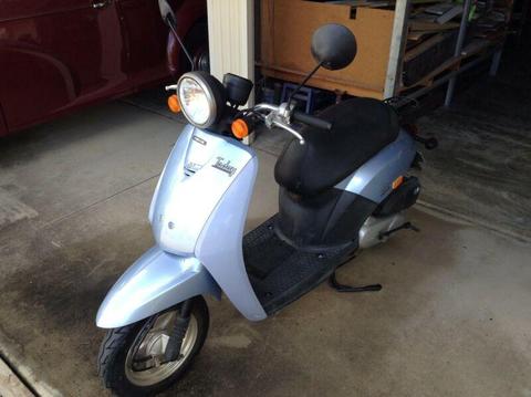 Honda Today 50 Scooter (car license only required)