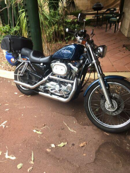 Harley sporty