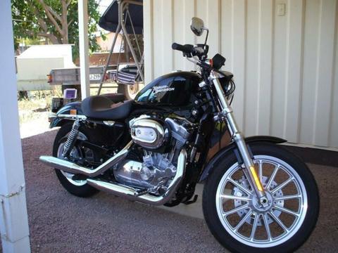 Harley Davidson Custom Sportster