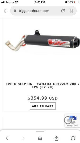 Grizzly 700 exhaust