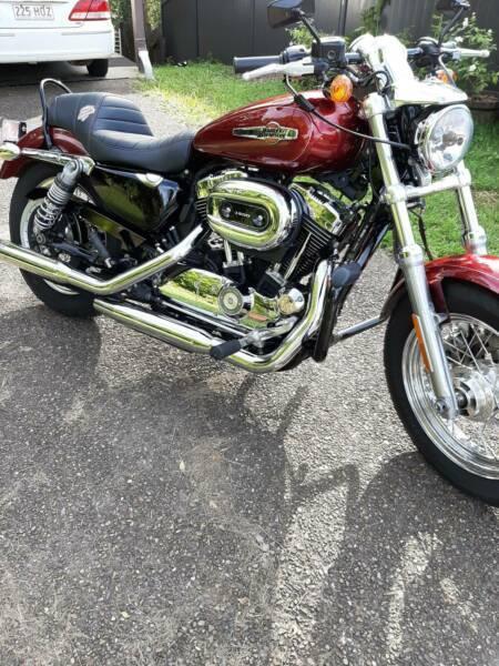 Harley 1200 Sportster Custom