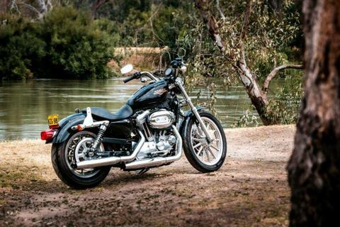 Harley Davidson XL883 Sportster