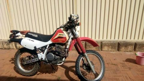 XR600R for sale