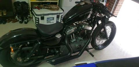 2010 Harley Davidson Nightster 1200
