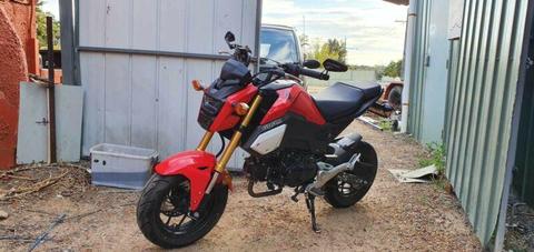 2019 Honda grom 125 cc with rego