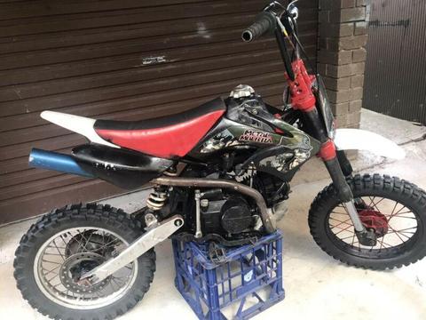 QUICK SALE 125cc THUMPSTER DIRTBIKE