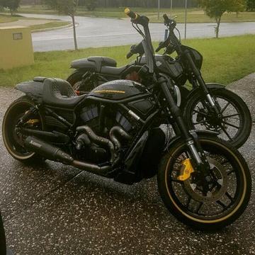 1x NIGHTROD SPECIAL 1x VROD MUSCLE