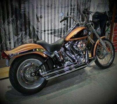 2008 Harley-Davidson FXSTC Softail Custom