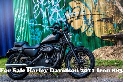2011 Harley Davidson iron 883 - excellent condition