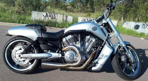 Harley Davidson Vrod - Muscle (low km)