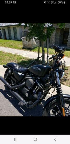 Wanted: Harley Davidson Iron 883 4sale